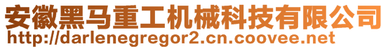 安徽黑馬重工機(jī)械科技有限公司