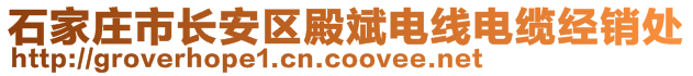 石家莊市長(zhǎng)安區(qū)殿斌電線電纜經(jīng)銷處