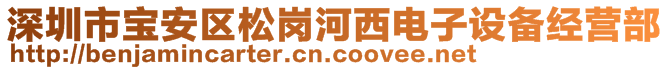 深圳市宝安区松岗河西电子设备经营部