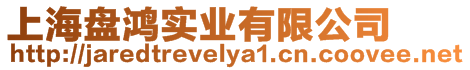 上海盤鴻實業(yè)有限公司
