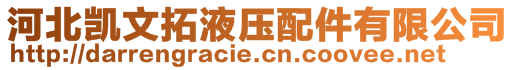 河北凯文拓液压配件有限公司