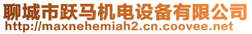 聊城市躍馬機電設備有限公司