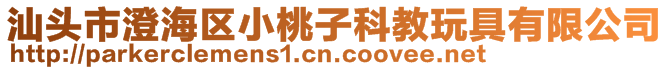 汕頭市澄海區(qū)小桃子科教玩具有限公司