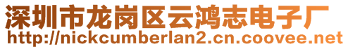 深圳市龍崗區(qū)云鴻志電子廠