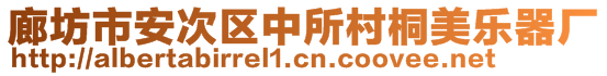 廊坊市安次區(qū)中所村桐美樂(lè)器廠