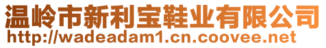 溫嶺市新利寶鞋業(yè)有限公司