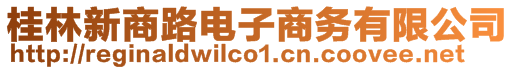 桂林新商路電子商務有限公司