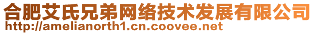 合肥艾氏兄弟網(wǎng)絡(luò)技術(shù)發(fā)展有限公司