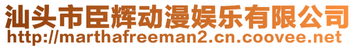 汕頭市臣輝動漫娛樂有限公司