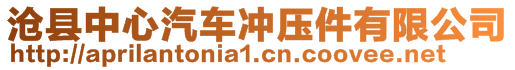 滄縣中心汽車沖壓件有限公司