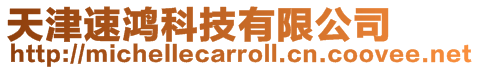 天津速鴻科技有限公司