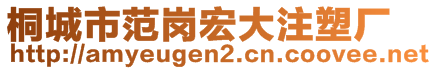 桐城市范崗宏大注塑廠