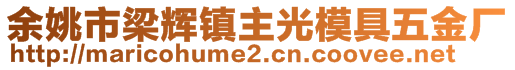 余姚市梁辉镇主光模具五金厂