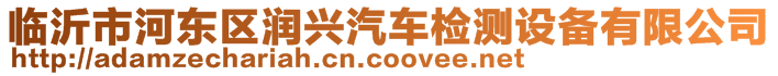 臨沂市河?xùn)|區(qū)潤(rùn)興汽車(chē)檢測(cè)設(shè)備有限公司