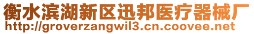 衡水濱湖新區(qū)迅邦醫(yī)療器械廠