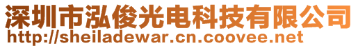 深圳市泓俊光電科技有限公司