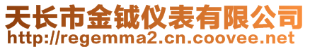 天長(zhǎng)市金鉞儀表有限公司