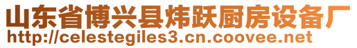 山東省博興縣煒躍廚房設(shè)備廠