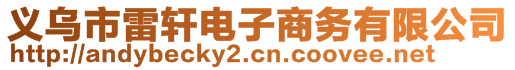 義烏市雷軒電子商務(wù)有限公司