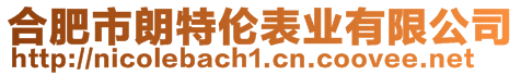合肥市朗特倫表業(yè)有限公司