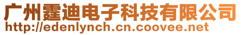 廣州霆迪電子科技有限公司