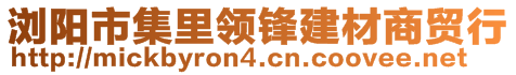 浏阳市集里领锋建材商贸行