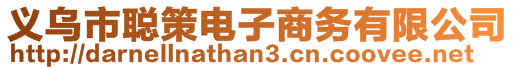 義烏市聰策電子商務(wù)有限公司