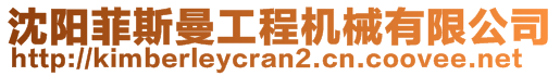 沈陽菲斯曼工程機(jī)械有限公司