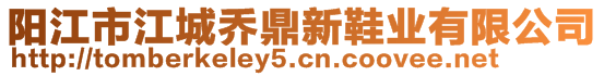 陽江市江城喬鼎新鞋業(yè)有限公司