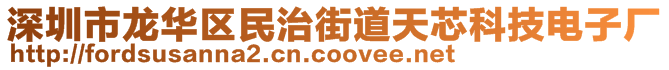 深圳市龍華區(qū)民治街道天芯科技電子廠