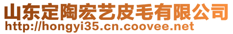 山東定陶宏藝皮毛有限公司