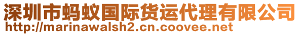 深圳市蚂蚁国际货运代理有限公司