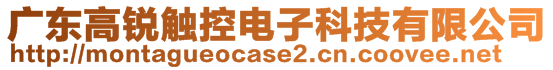 廣東高銳觸控電子科技有限公司