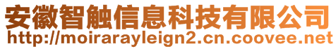 安徽智觸信息科技有限公司