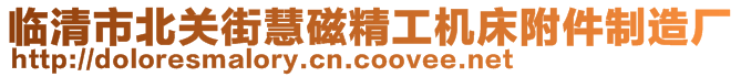 临清市北关街慧磁精工机床附件制造厂