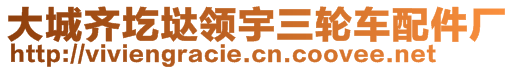 大城齊圪垯領(lǐng)宇三輪車配件廠