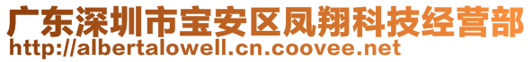 廣東深圳市寶安區(qū)鳳翔科技經(jīng)營部