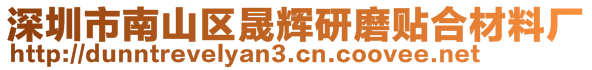 深圳市南山區晟輝研磨貼合材料廠