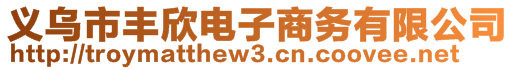 義烏市豐欣電子商務(wù)有限公司