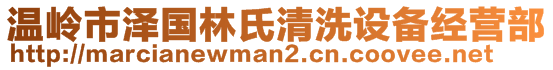 溫嶺市澤國林氏清洗設(shè)備經(jīng)營部