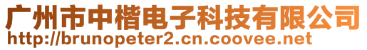 广州市中楷电子科技有限公司