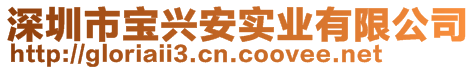 深圳市寶興安實業有限公司
