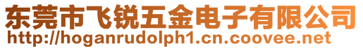 東莞市飛銳五金電子有限公司