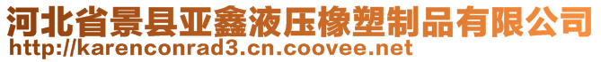 河北省景縣亞鑫液壓橡塑制品有限公司