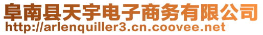 阜南縣天宇電子商務(wù)有限公司