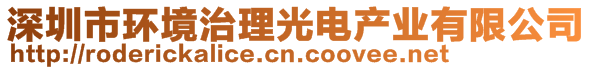 深圳市环境治理光电产业有限公司