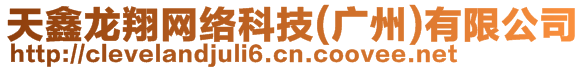 天鑫龍翔網(wǎng)絡(luò)科技(廣州)有限公司