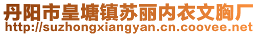 丹陽(yáng)市皇塘鎮(zhèn)蘇麗內(nèi)衣文胸廠(chǎng)