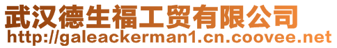 武漢德生福工貿有限公司