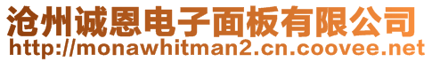 沧州诚恩电子面板有限公司